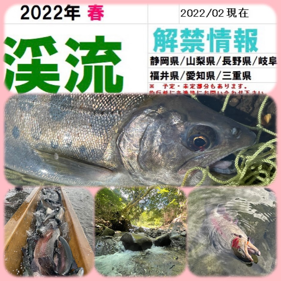 東海の渓流釣り場ガイド3冊セット - メルカリ